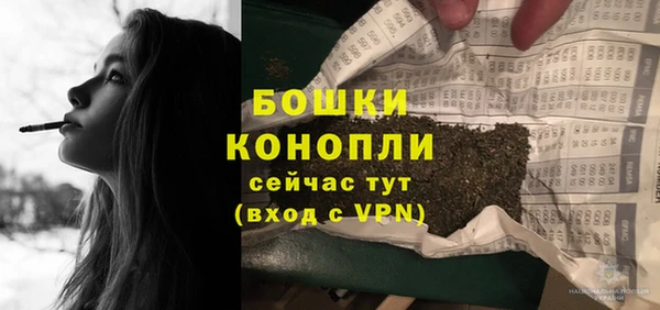 PSILOCYBIN Заволжье